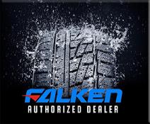 FalkenWeb